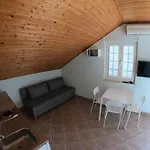 Bianki