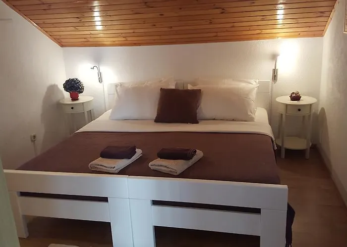 Bianki 公寓 斯拉诺