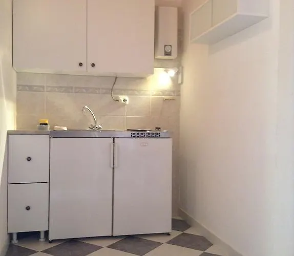 Bianki 公寓 斯拉诺