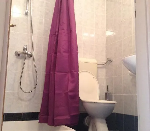 Bianki 公寓 斯拉诺