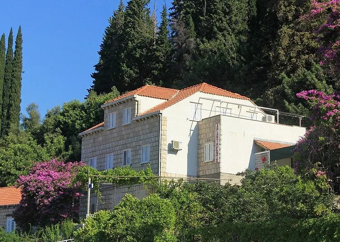 公寓 Bianki 斯拉诺