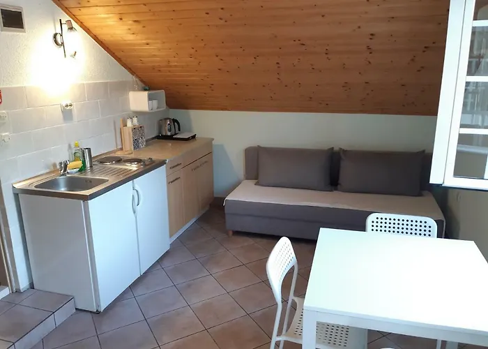 Bianki 公寓 斯拉诺